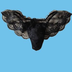 Men's Elegant Lace Thong