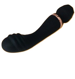 Double Ended Twin Motor