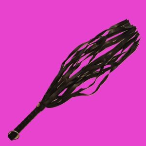 Horse Whip Crop