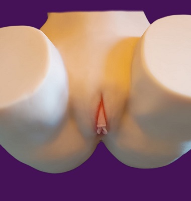 Realistic Torso Charity Sale Price Includes delivery - Image 2